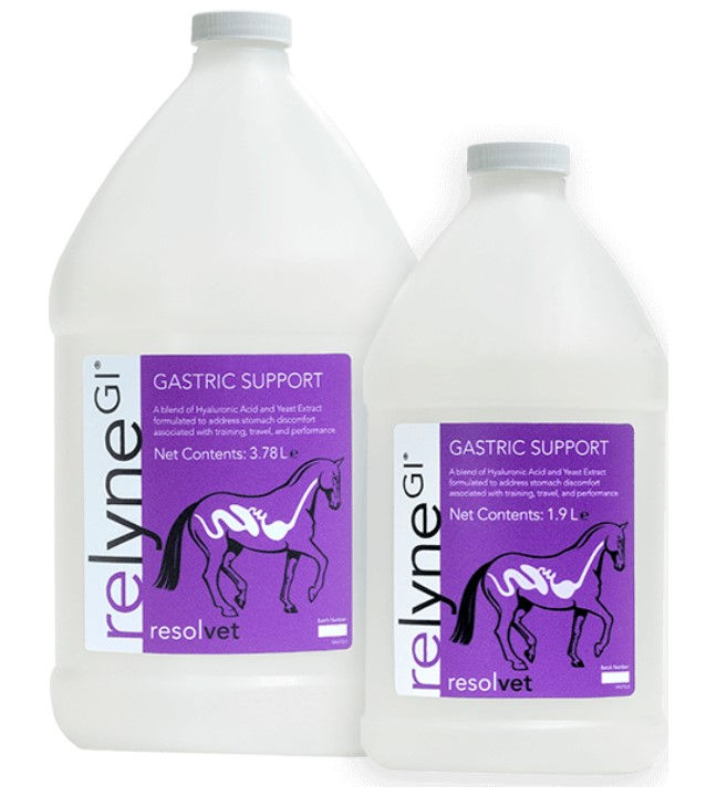 Relyne GI and how it might support your horses digestive tract (and
