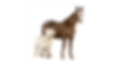 PONY AND HORSE V2.png