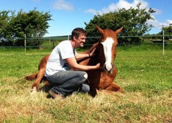 Sun and Mark relaxing in the paddock