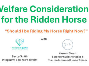 Webinar Recording - Welfare considerations for the ridden horse - "When should I ride my horse?"