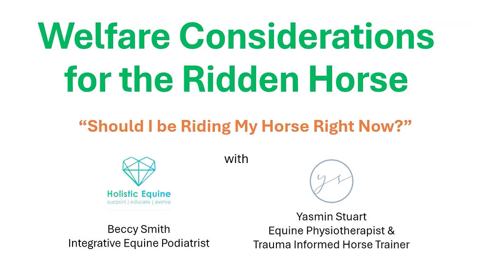 Webinar Recording - Welfare considerations for the ridden horse - "When should I ride my horse?"