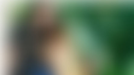 EVERYTHING EVERYTHING