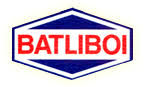 Batliboi.jpeg