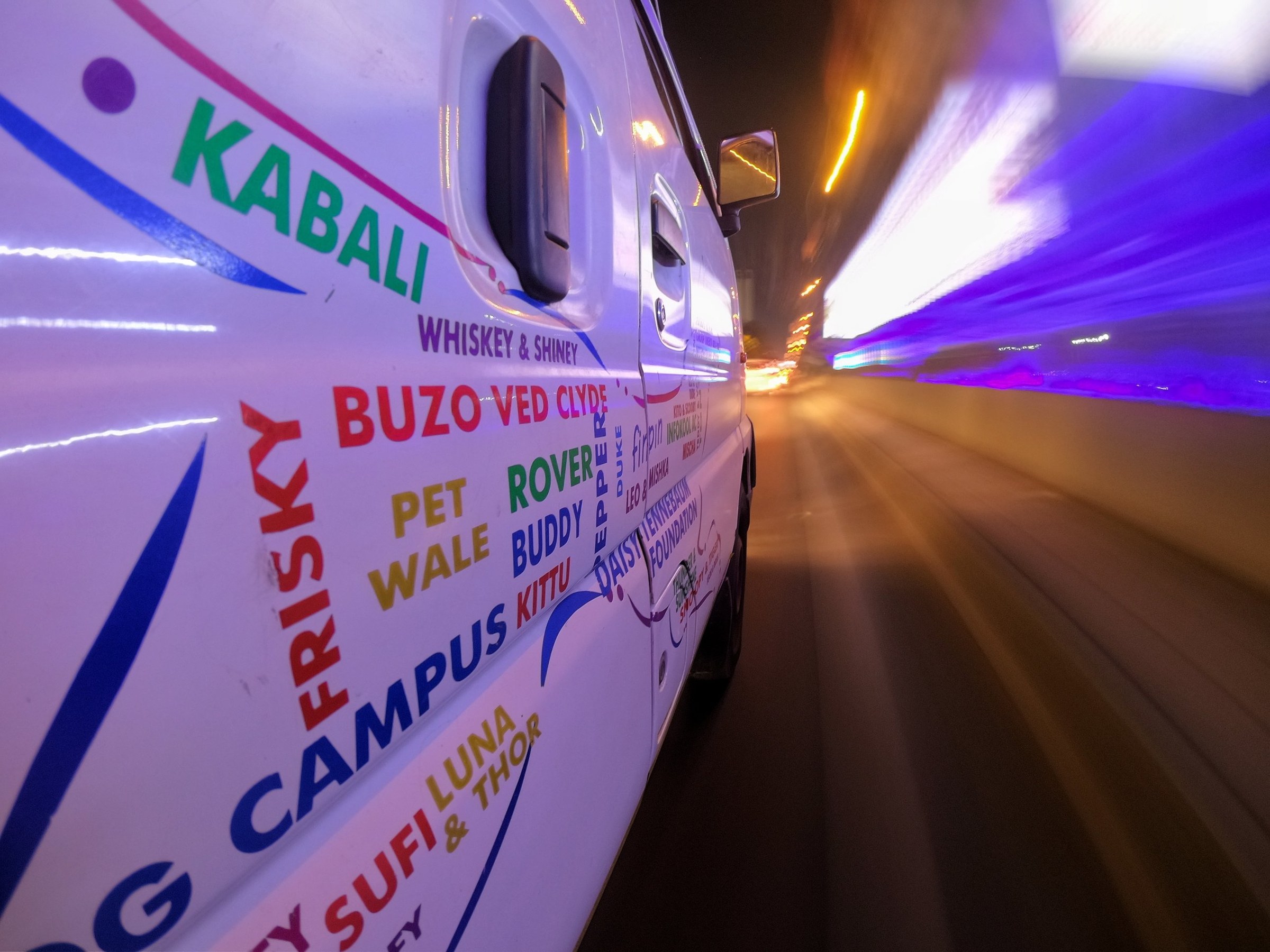 The side of the MyPALClub Foundation ambulance at night, painted with the names of rescued animals, city lights streaking past