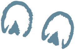 hoof-prints-home-pg-blue-screen2.png