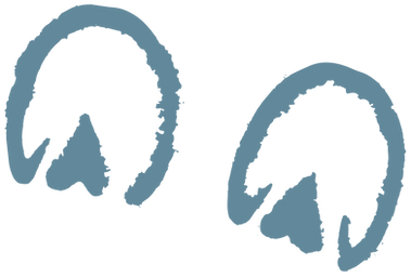 hoof-prints-home-pg-blue-screen2.png