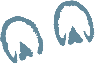 hoof-prints-home-pg-blue-screen-3.png