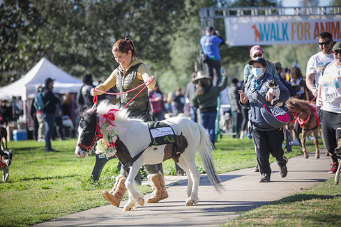 2022_AMM_Fundraiser-Walk4Animals-Charm-DaggmarMidcapSweetie.jpg