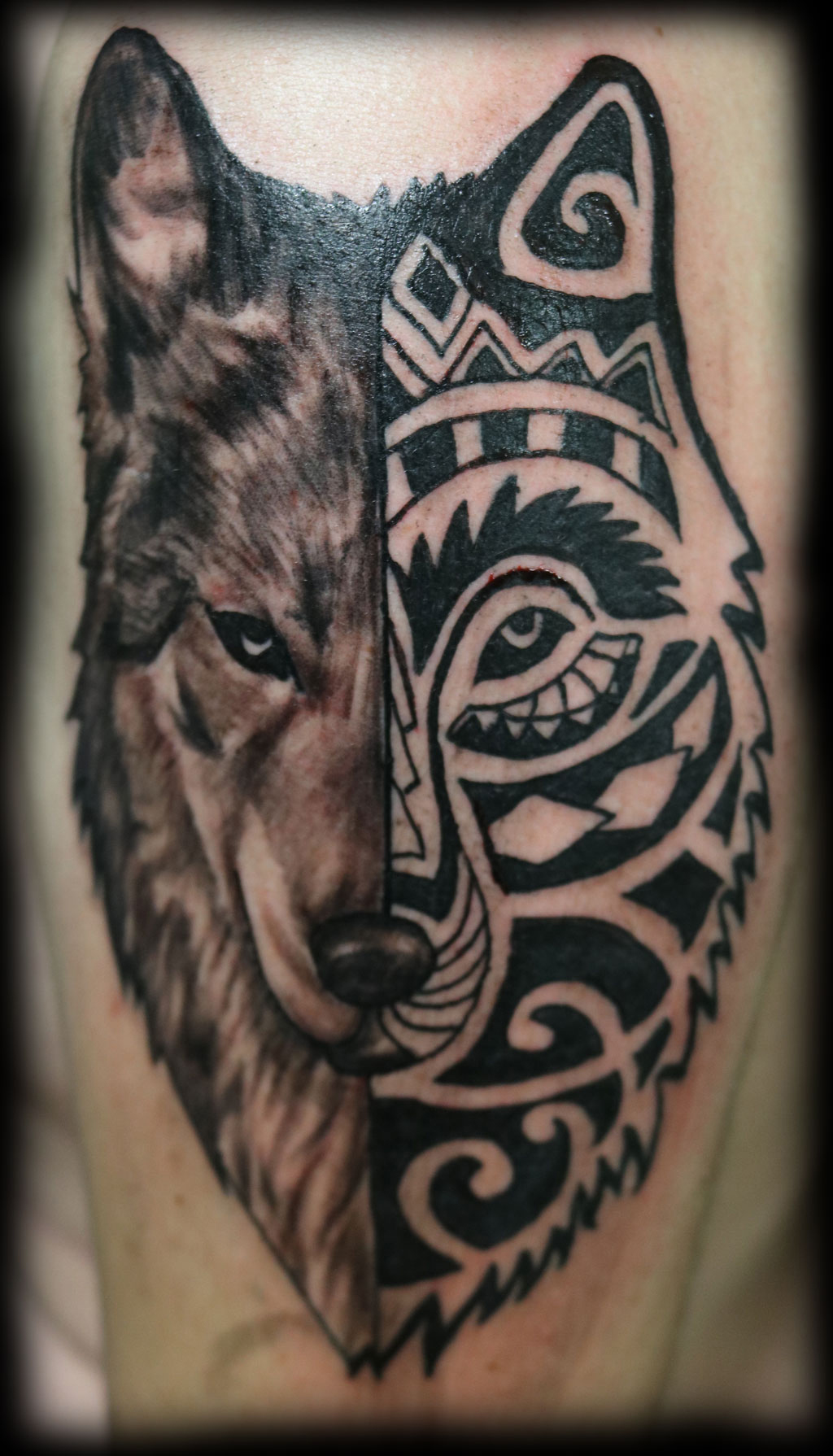 58+ Free Tattoo Quebec Idea Tattoo Photos 58+ Free Tattoo Quebec Idea Tattoo Photos
