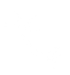 Instituto Sentir (13)_edited.png