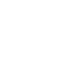 Instituto Sentir (13)_edited.png