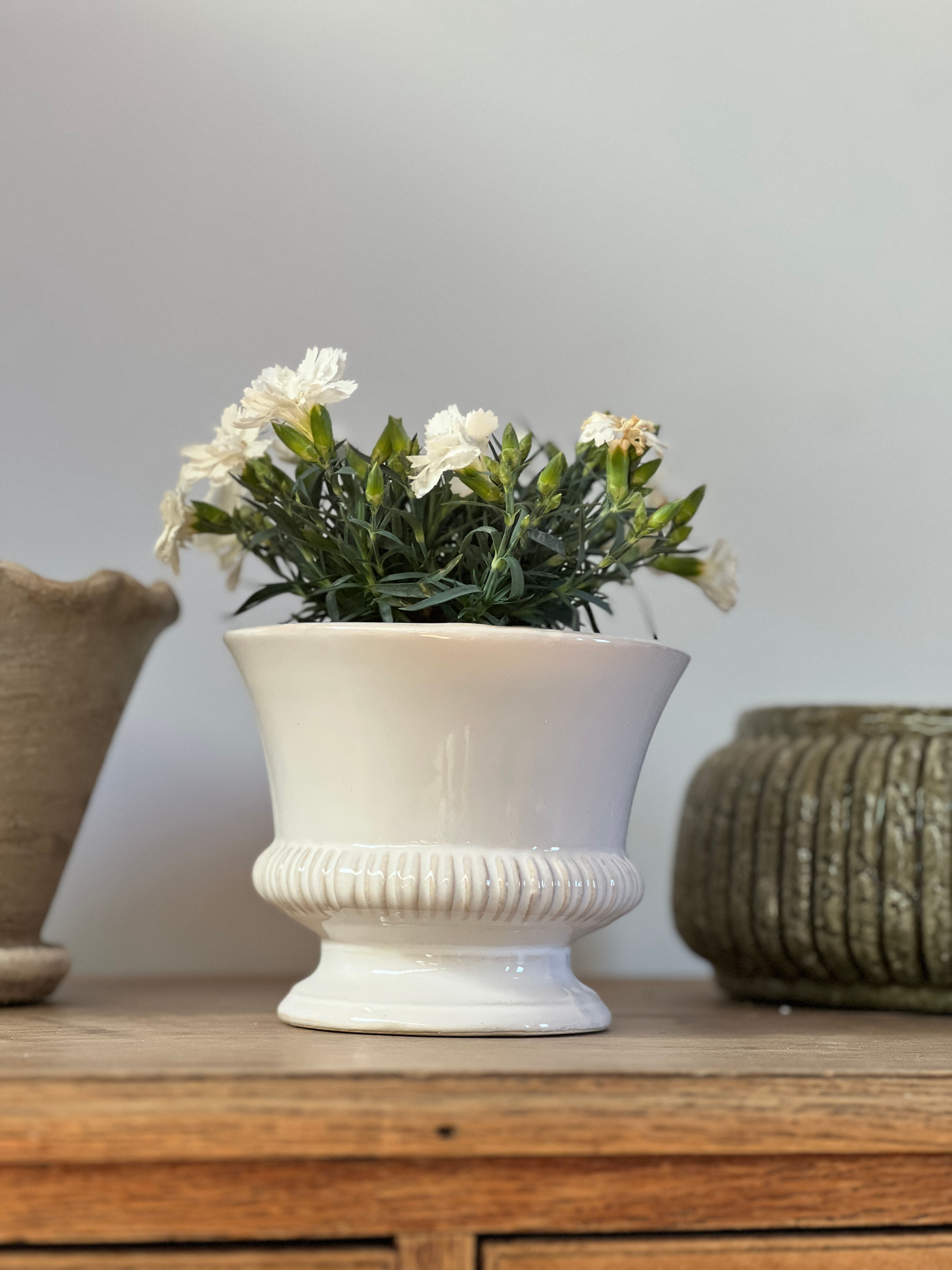 Hinton Medium White Ceramic Planter