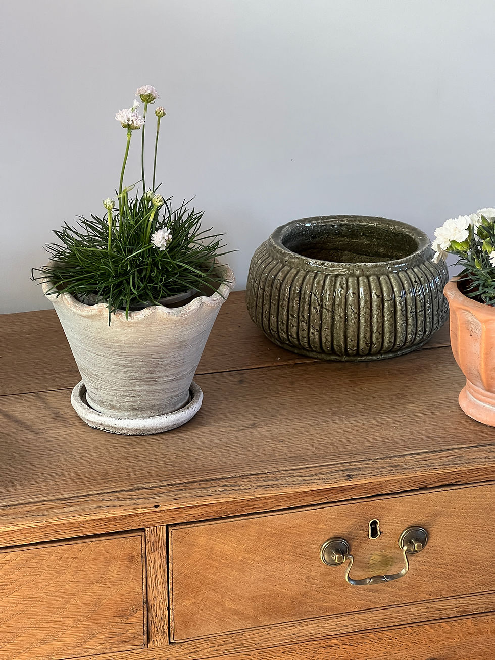 Thumbnail: Carden Large Frilly Planter