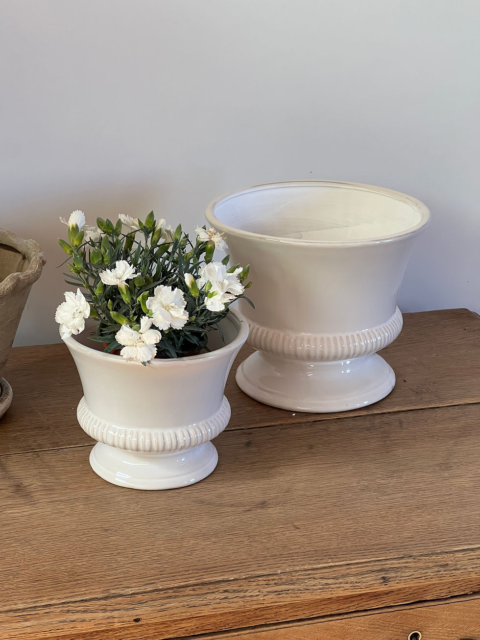 Thumbnail: Hinton Medium White Ceramic Planter
