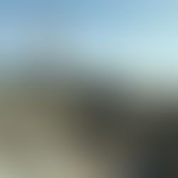 What to do in Augusta Maine based off Weezle ai