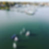 F087978C-6DB7-4E43-A5B0-142ACE37D624.jpeg