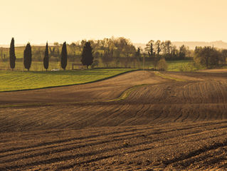 Growing Season - What’s Really Going On in the Field?