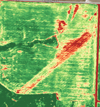 NDVI Map