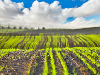 Not All Ag Drones Are Created Equally