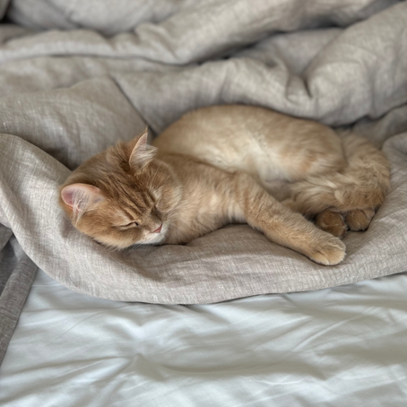 The Sleep I Never Had.