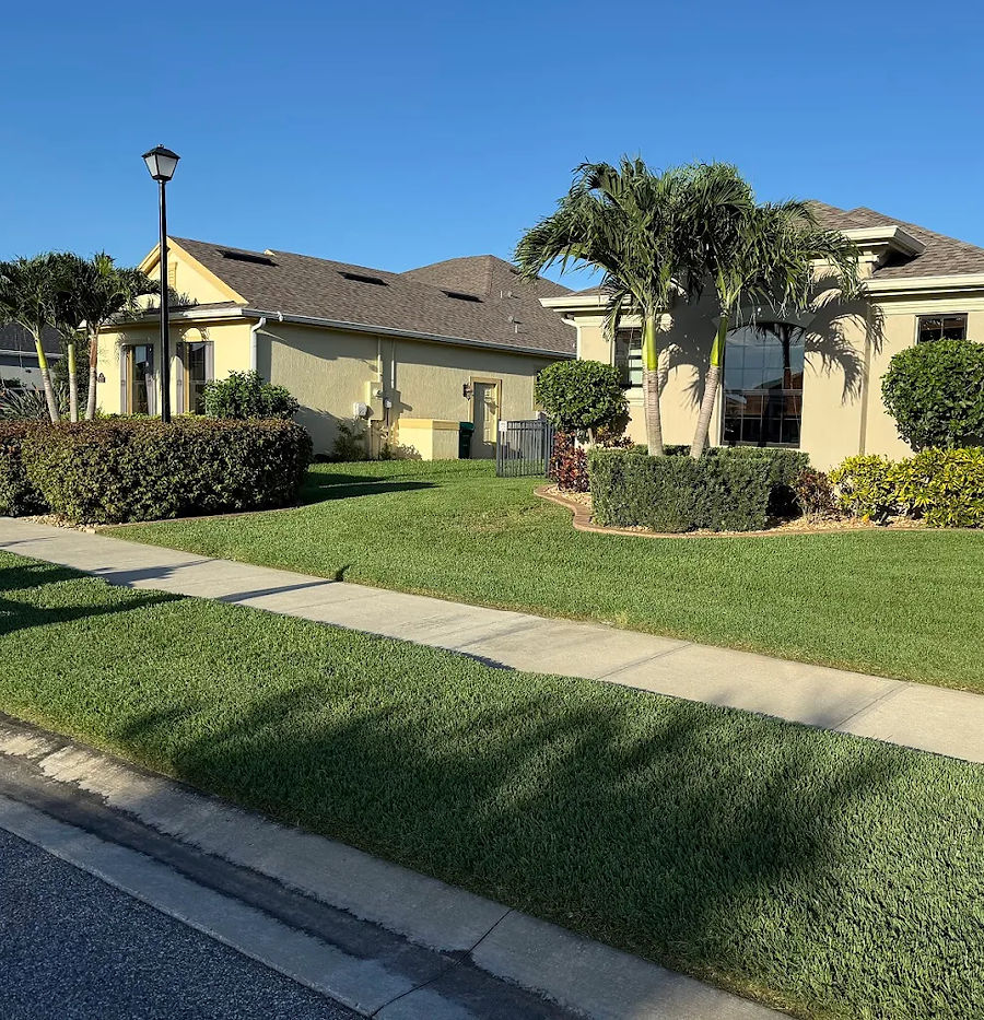 Residential and commercial lawn maintenance for a house with palm trees