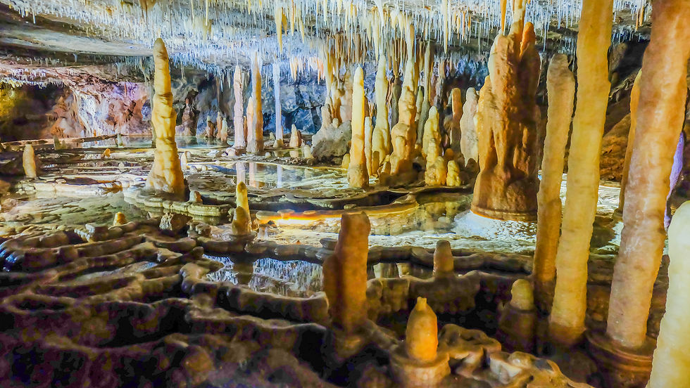 Kalkseen in der Fairy Cave bei Buchan - Jahrmillionen alte Schönheit