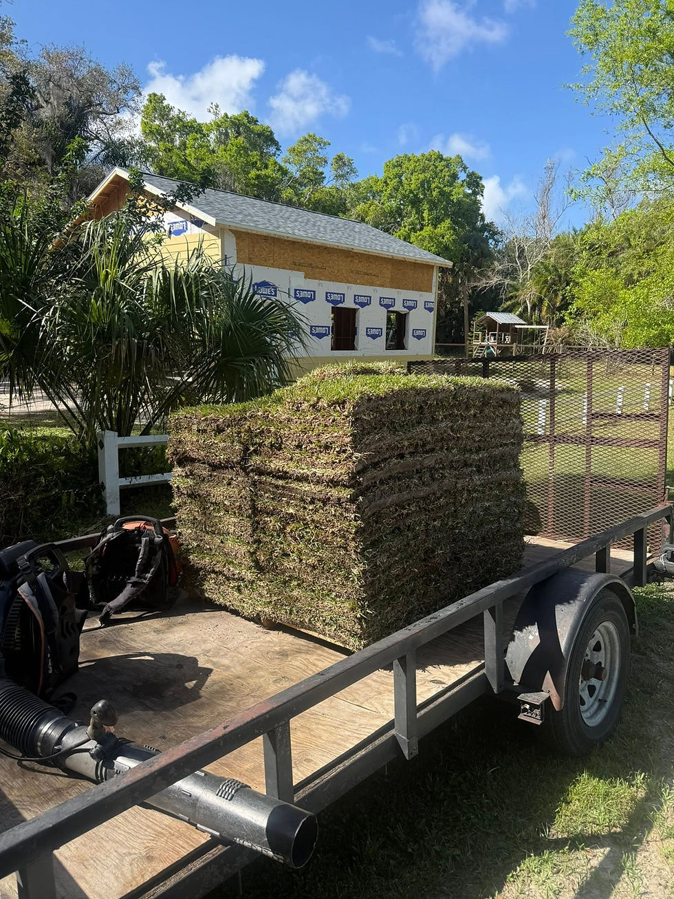 Sod pallets on a trailer by local lawn care experts.