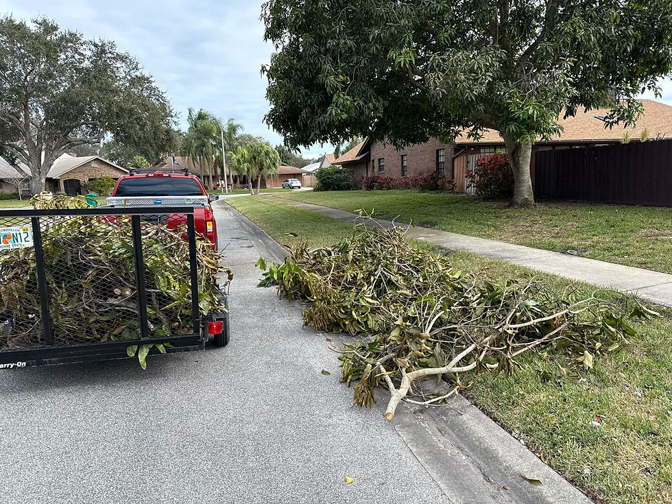 Residential lawn maintenance crew hauling debris in a trailer.