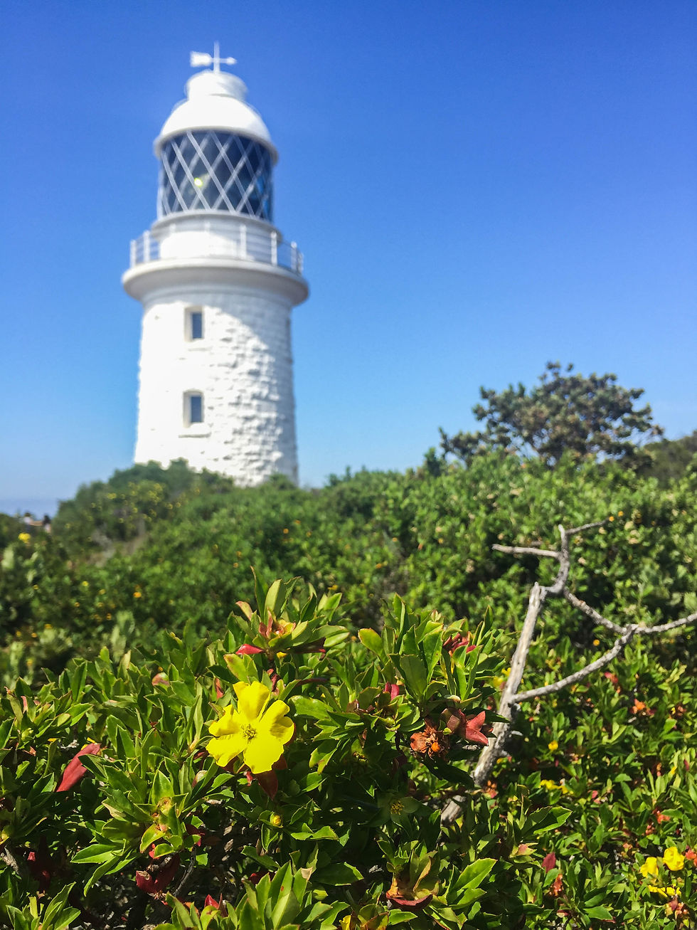 Cape Naturaliste Lighthouse