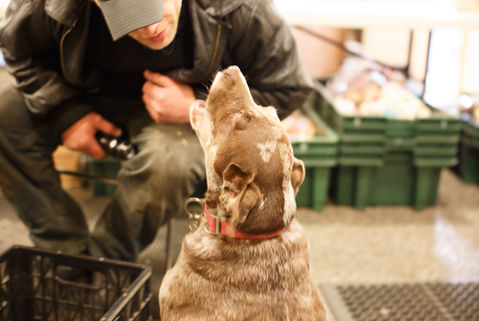 Sitting man looking down towards his dog