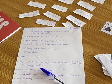 Workshop and training: understanding the challenges and needs of older adults in Europe