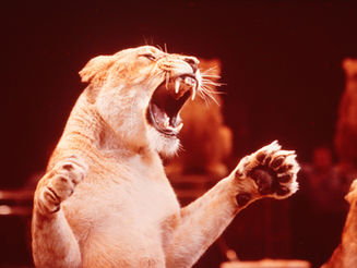 The Beauty of Letting People Be Who They Are