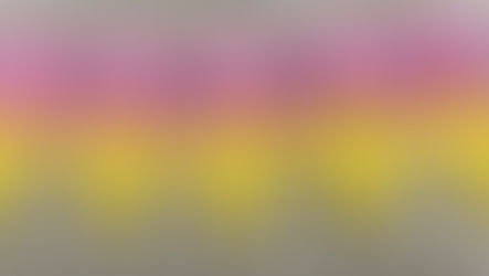 正直である勇気を持つ