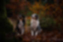 DSC_6683-NEU.jpeg