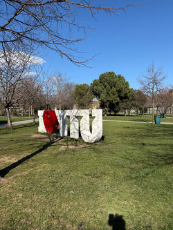 WhatsApp Image 2026-04-03 at 20.52.23