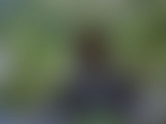 Dig into "John and the Hole"