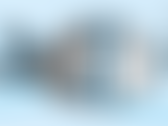 Activity 1 Understanding the present 