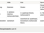 Gangschule 