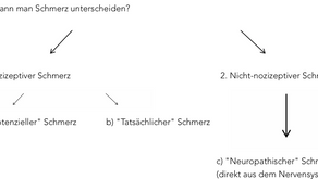 Schmerzphysiologie: Teil 1