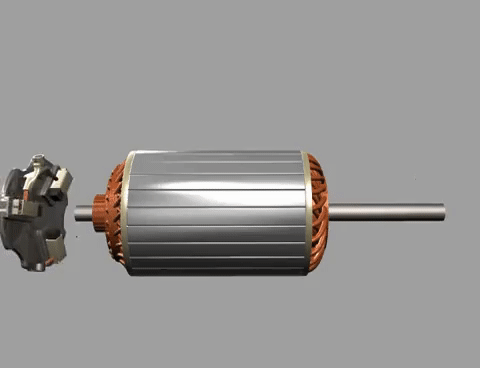 DistantScentedAngwantibo-size_restricted.gif