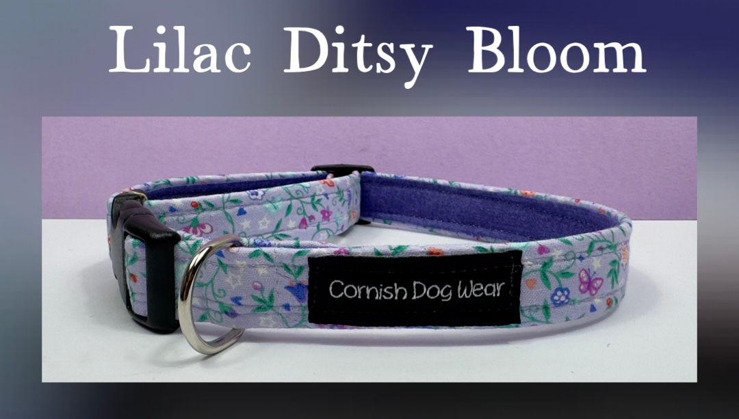 Lilac Ditsy Bloom fabric Dog Collar