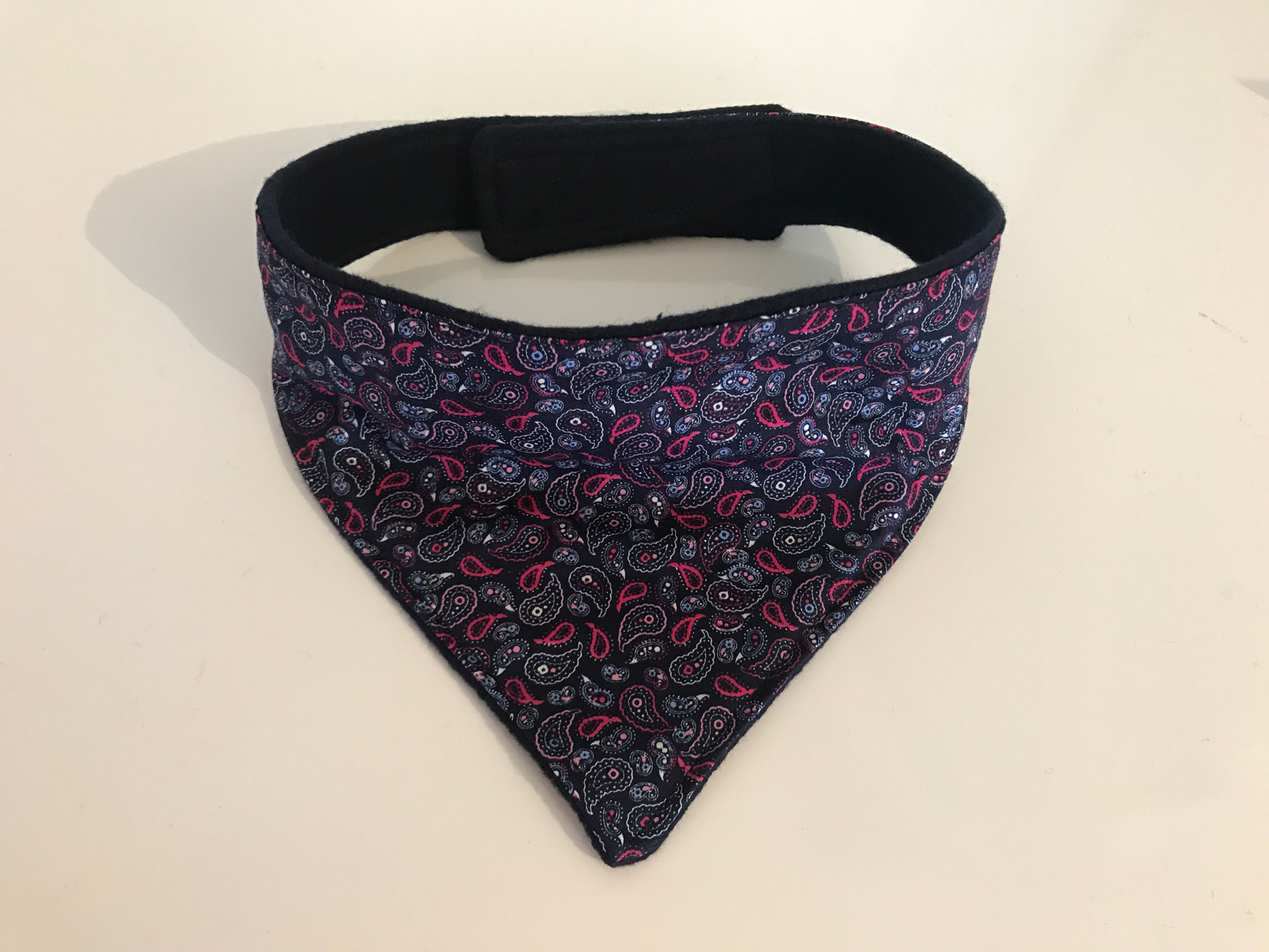 Paisley Dog Bandana