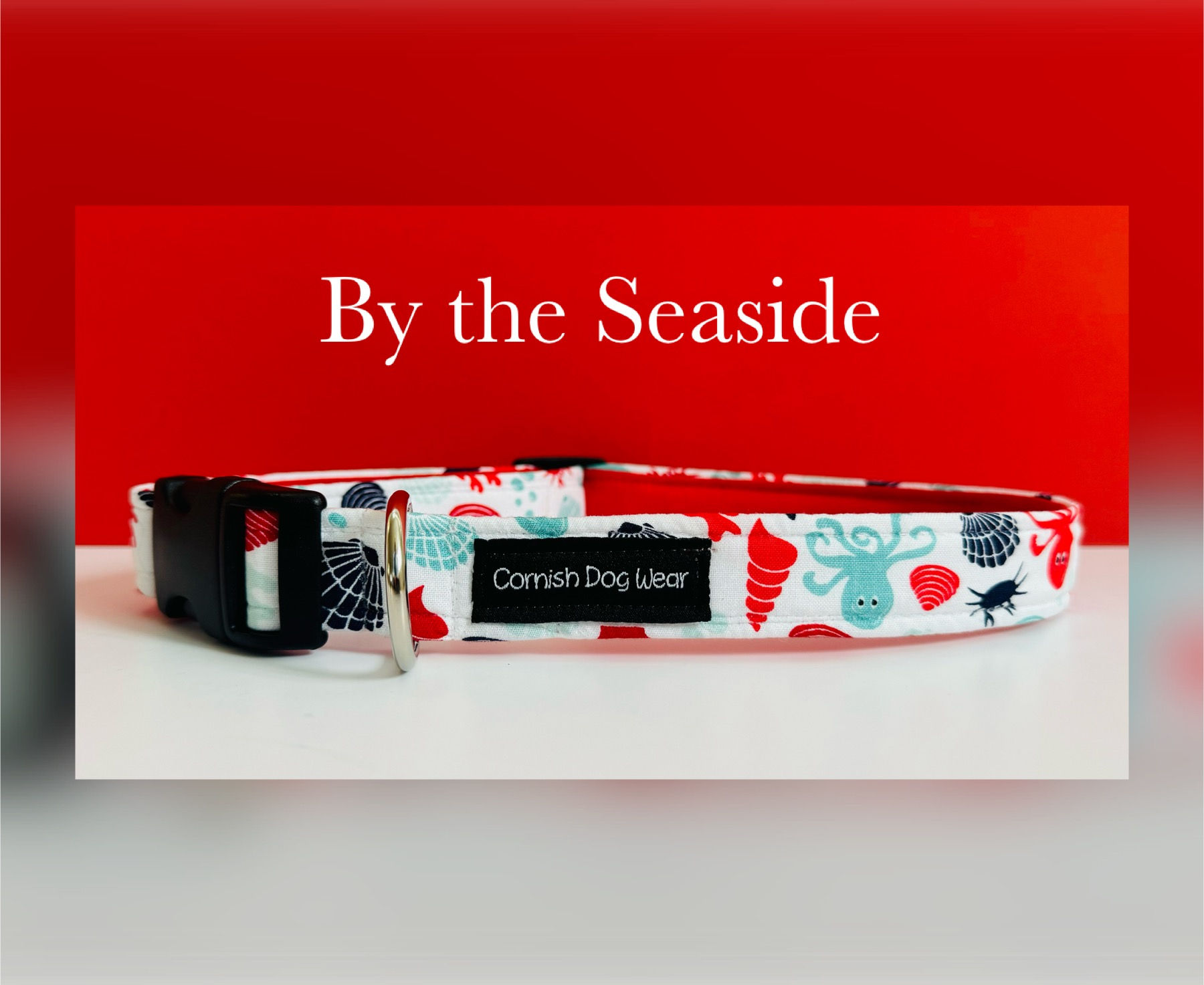 By the seaside dog collar