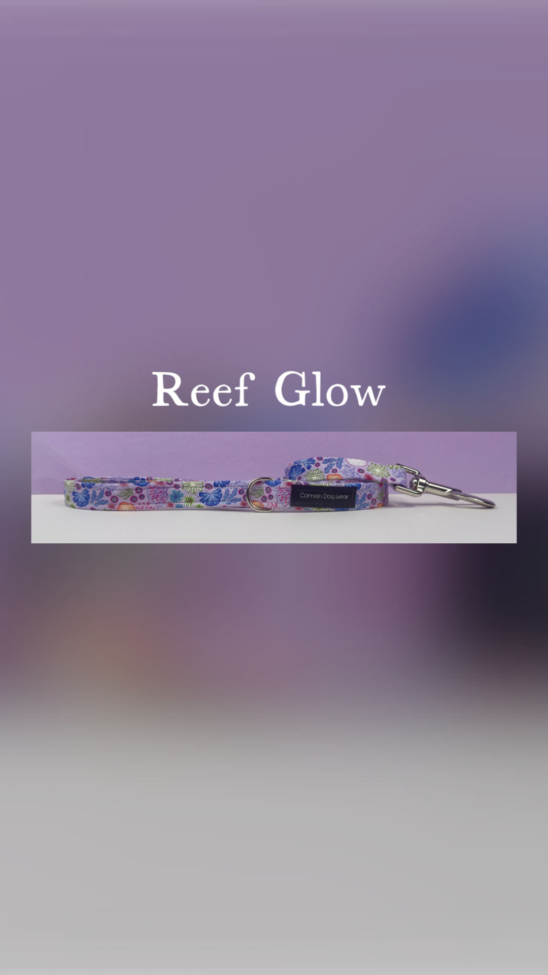 Reef Glow Dog Lead 