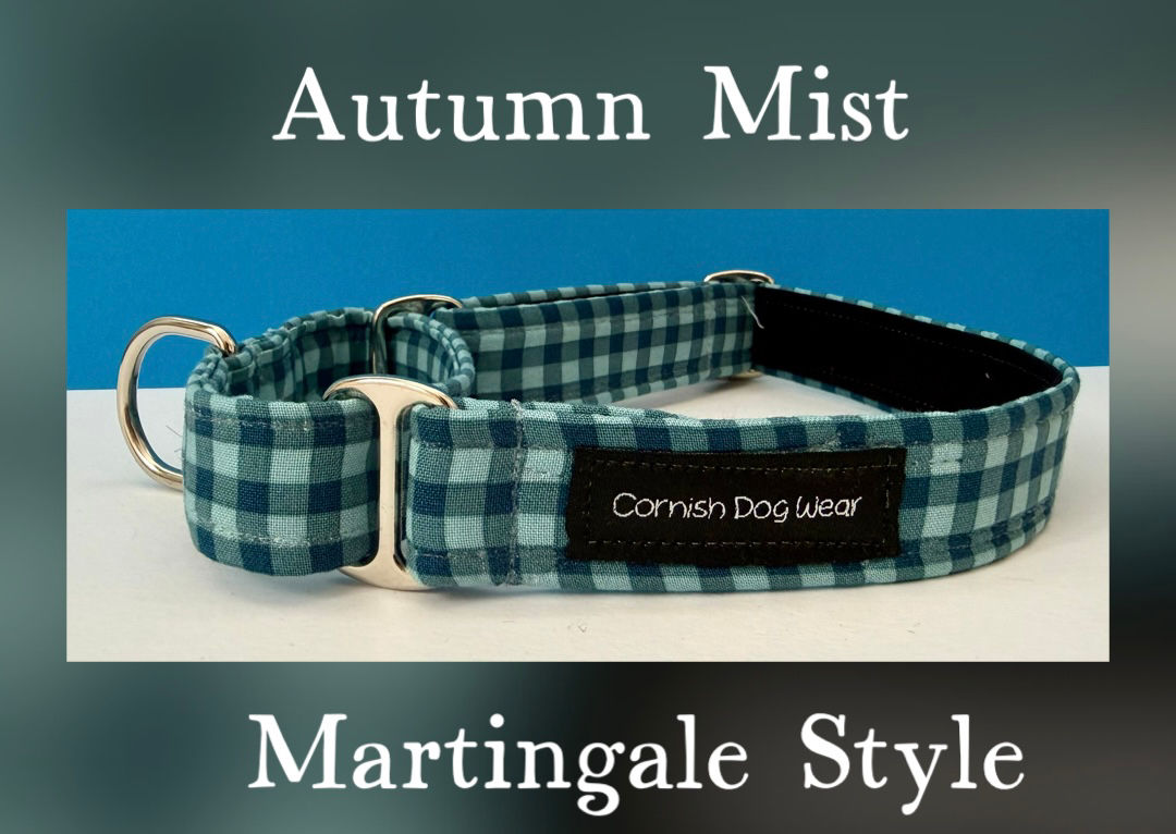 Autumn Mist Martingale fabric Dog Collar