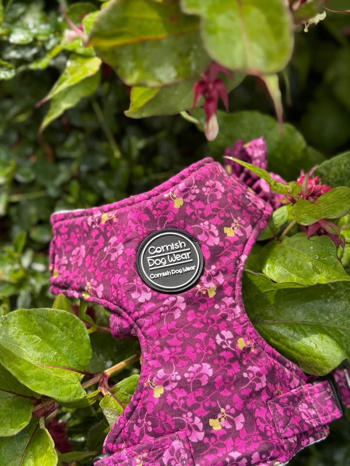 Thumbnail: Luna Mulberry Moon Padded Dog Harness