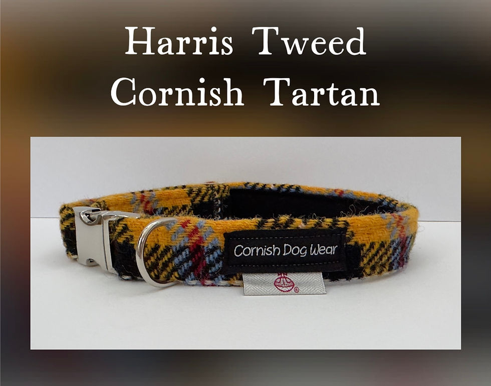 Harris Tweed Cornish Tartan Dog Collar