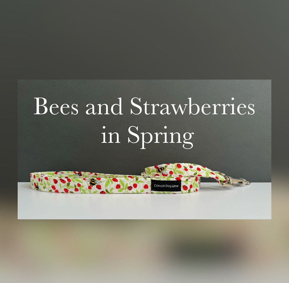 Bees and Strawberry's in Spring Dog Lead