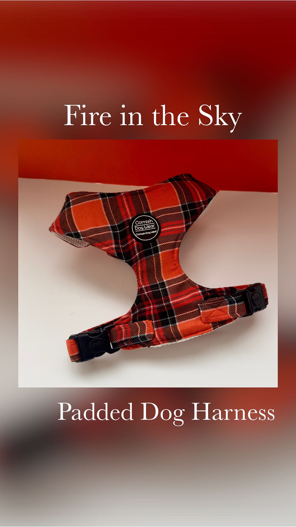 Fire in the Sky Padded Dog Harness