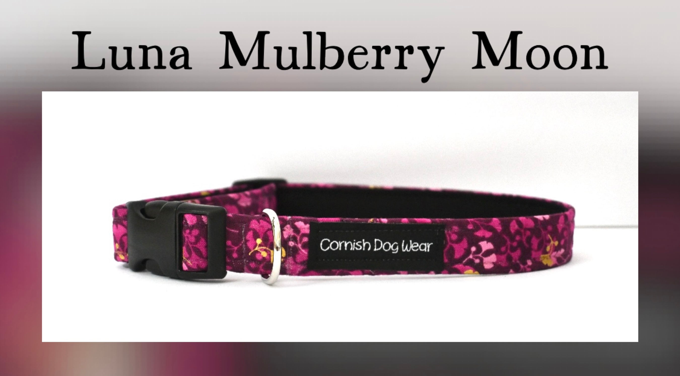 Luna Mulberry Moon dog collar 